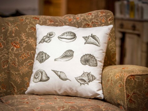 Shell digital print. Tangible Memories.