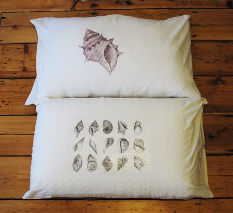 Shell cushions