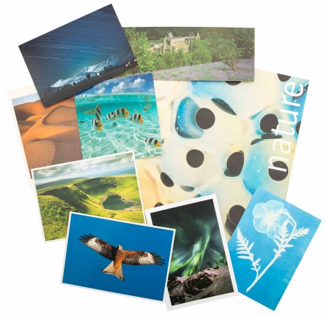 collection-of-nature-images