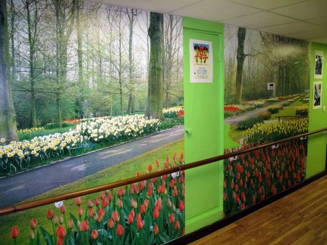 deerhurst-woodland-and-tulip-wallpaper_small